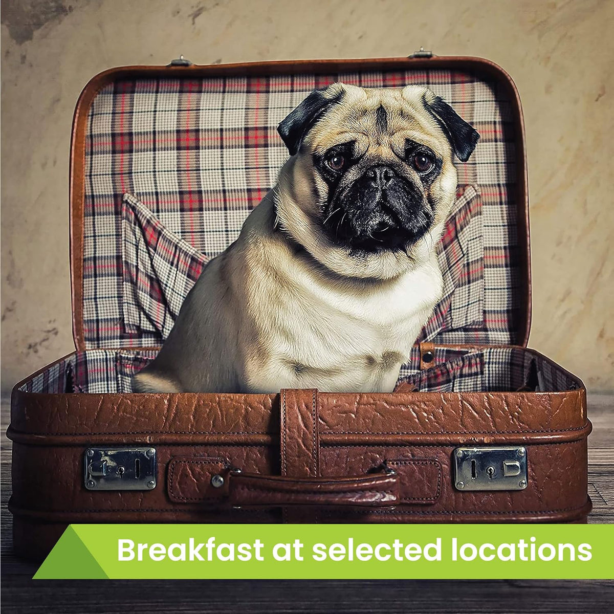 Activity Superstore Dog Friendly Hotel Stay Gift Experience Voucher