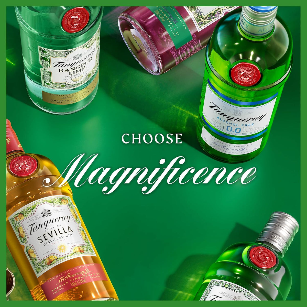 Tanqueray London Dry Gin | 41.3% vol | 1L | Award-Winning Premium Spirit | Distilled 4 Times | Made with 4 Gin Botanicals | Enjoy with Ice & Tonic