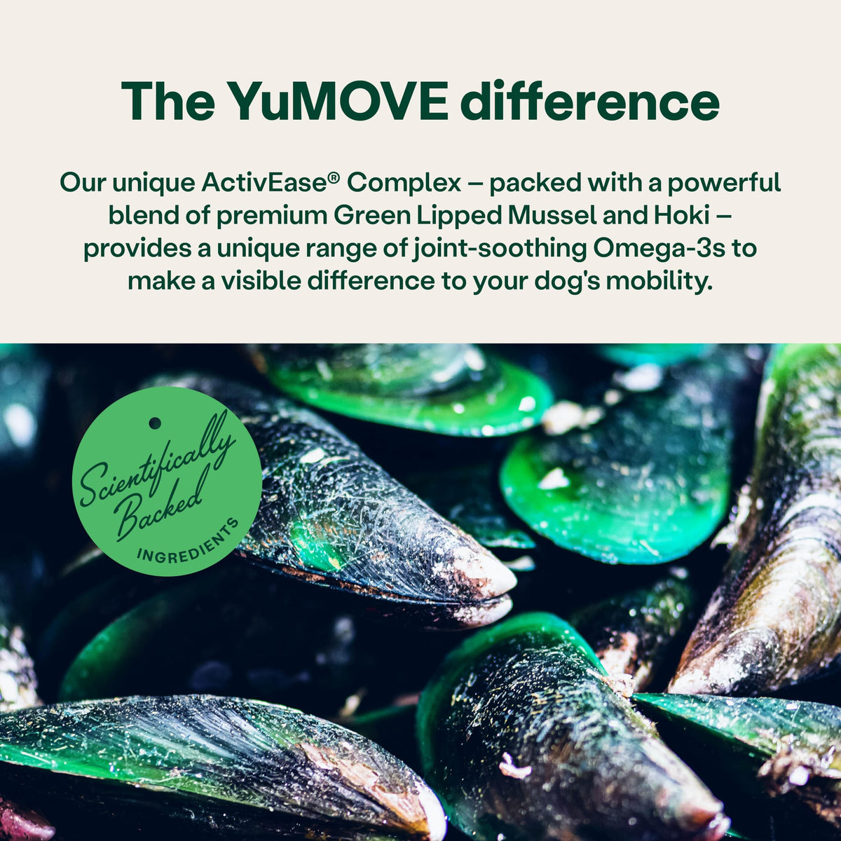 YuMOVE Senior Cat Joint Supplement for Joint Care & Joint Aid, for Older, Stiff Cats with Glucosamine, Chondroitin & Green Lipped Mussel, 60 Capsules - Packaging May Vary