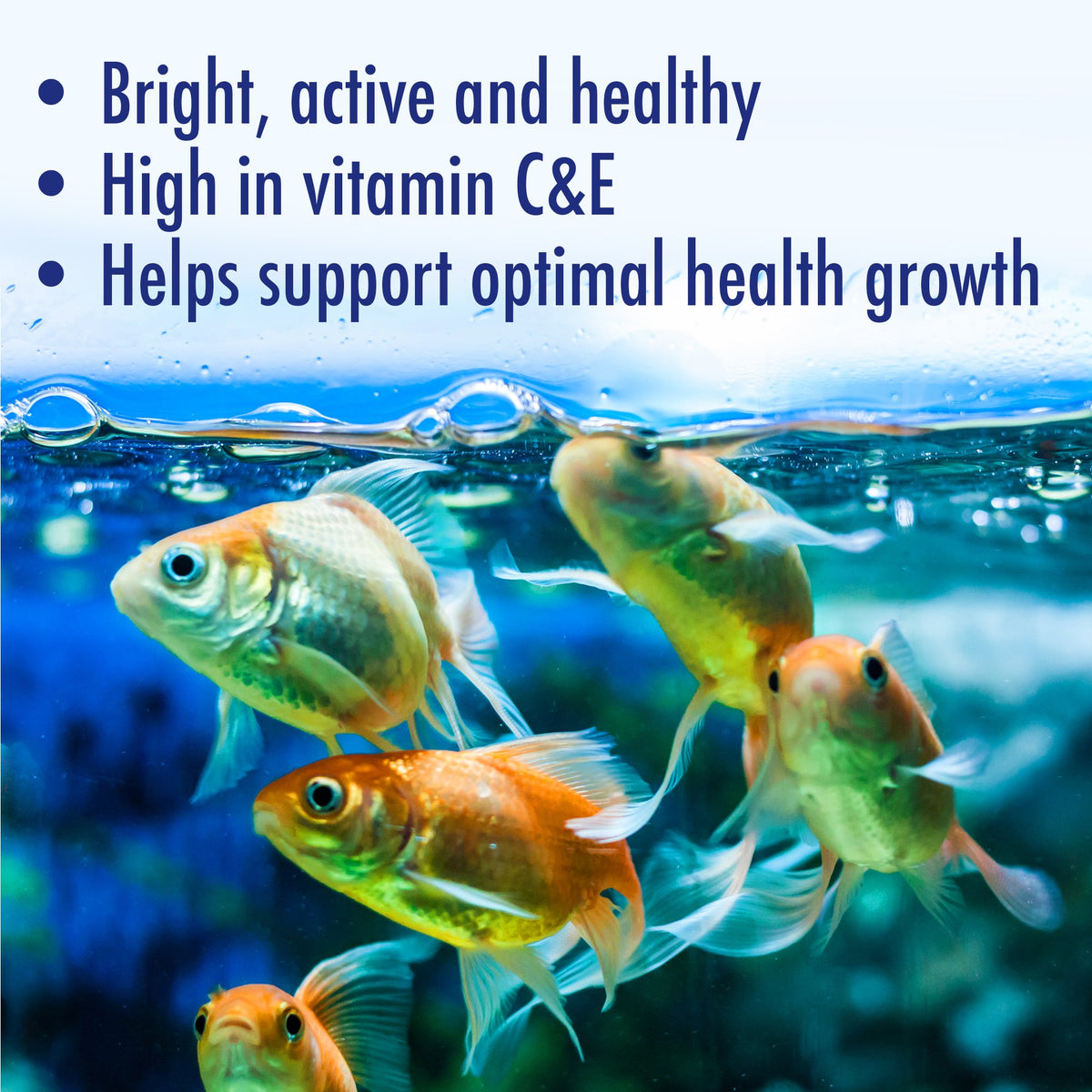 AQUARIAN Complete Nutrition, Aquarium Goldfish Food, Flakes Also Suitable for Small Pond Fish, 200g Container