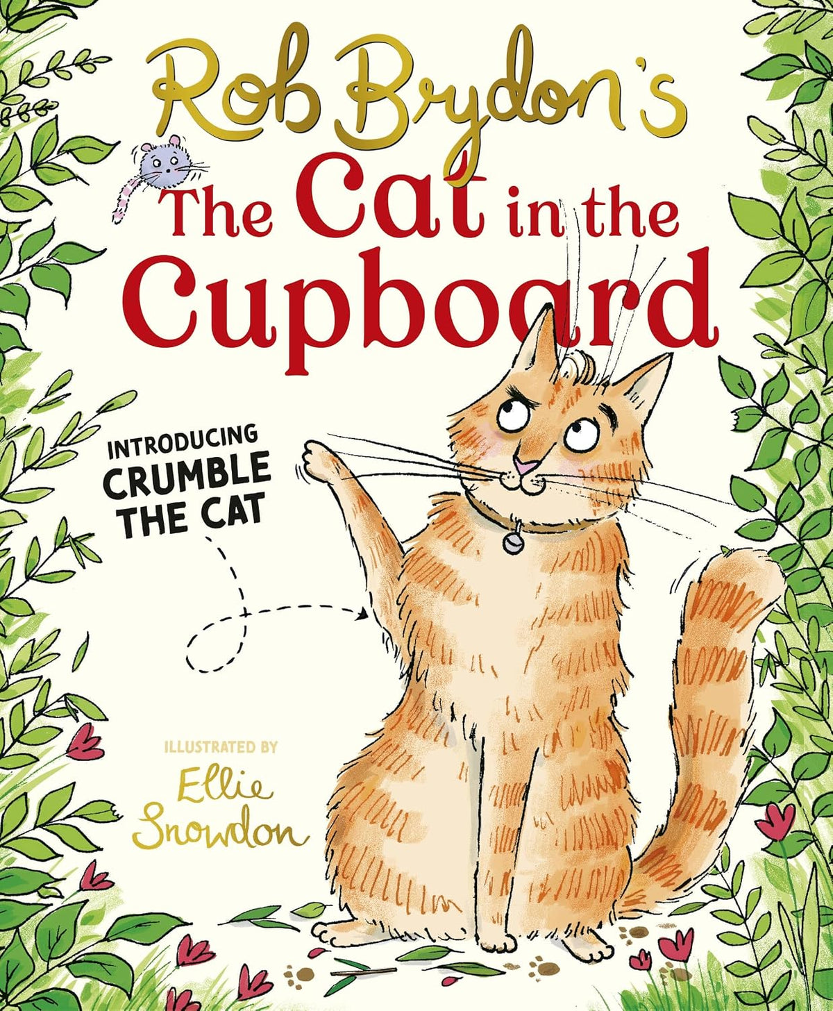 The Cat in the Cupboard: A warm and witty picture book for 5-7 year olds