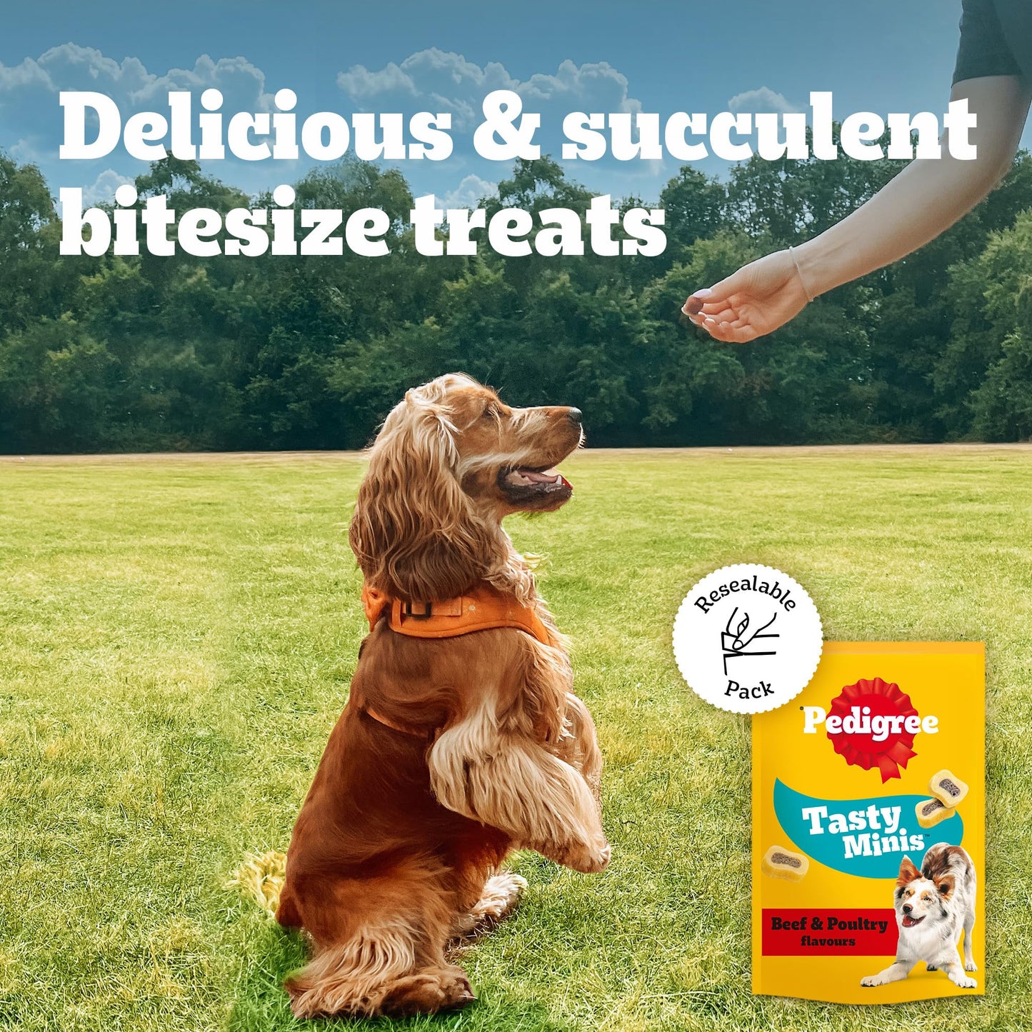 PEDIGREE TASTY MINIS Adult Dog Treats Cheese & Beef Nibbles 140g - Pack of 8, Packaging May Vary