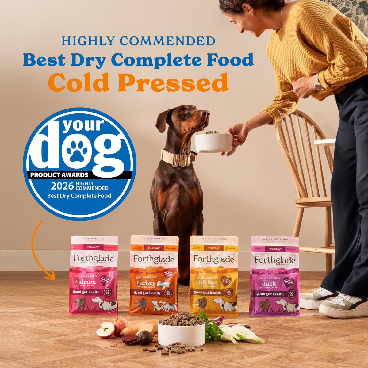 Forthglade Dry Dog Food, Cold Pressed (6kg), Hypoallergenic and Grain Free Dog Food, Salmon & Vegetables, Natural Senior, Adult and Puppy Meal Vet, Approved For Good Gut Health
