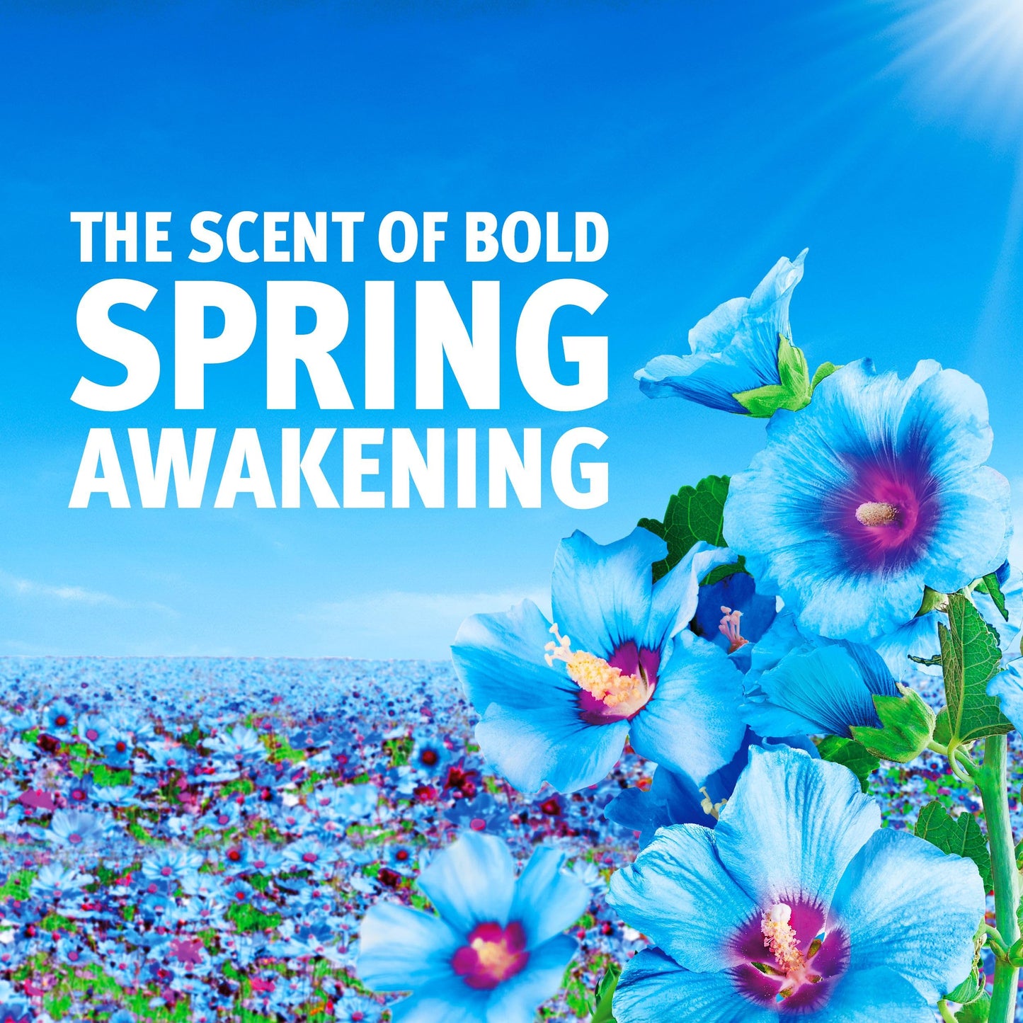 Bold Spring Awakening Washing Liquid 2.697L | 87 Washes