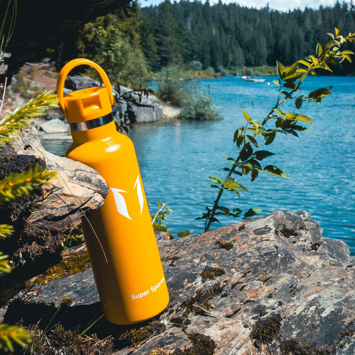 Sparrow Insulated Water Bottle 500ml/750ml/1L/1.2L Metal Drinks Bottle