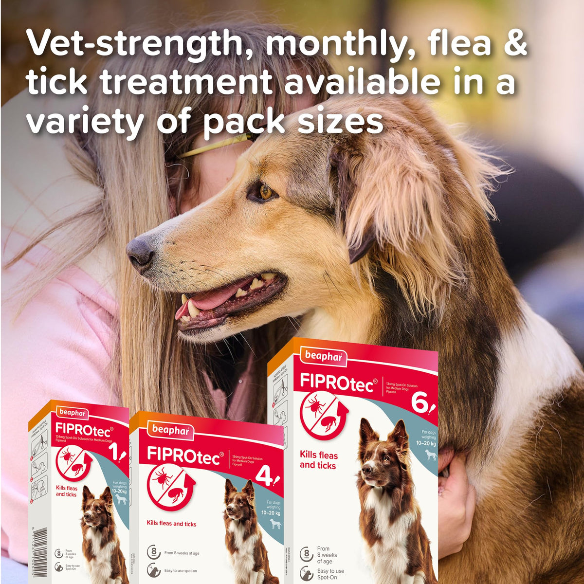 Beaphar - FIPROtec Spot-On Flea & Tick Treatment for Medium Dogs 10-20kg - 6 Pipettes - Kills Fleas & Ticks – Veterinary Medicine - Easy to Apply Monthly - Suitable for Dogs & Puppies from 8 Weeks