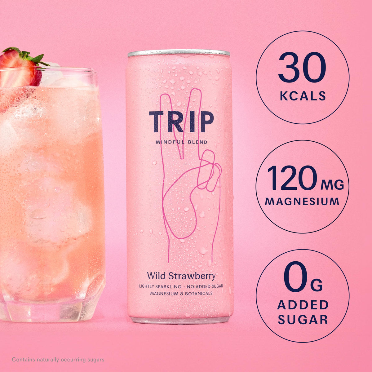 TRIP Cucumber Mint Sparkling drink with 120MG calming Magnesium + Lion’s Mane + Chamomile + Lemon Balm. Low Calorie and Vegan (Pack of 12 x 250ml) - Packaging Might Vary