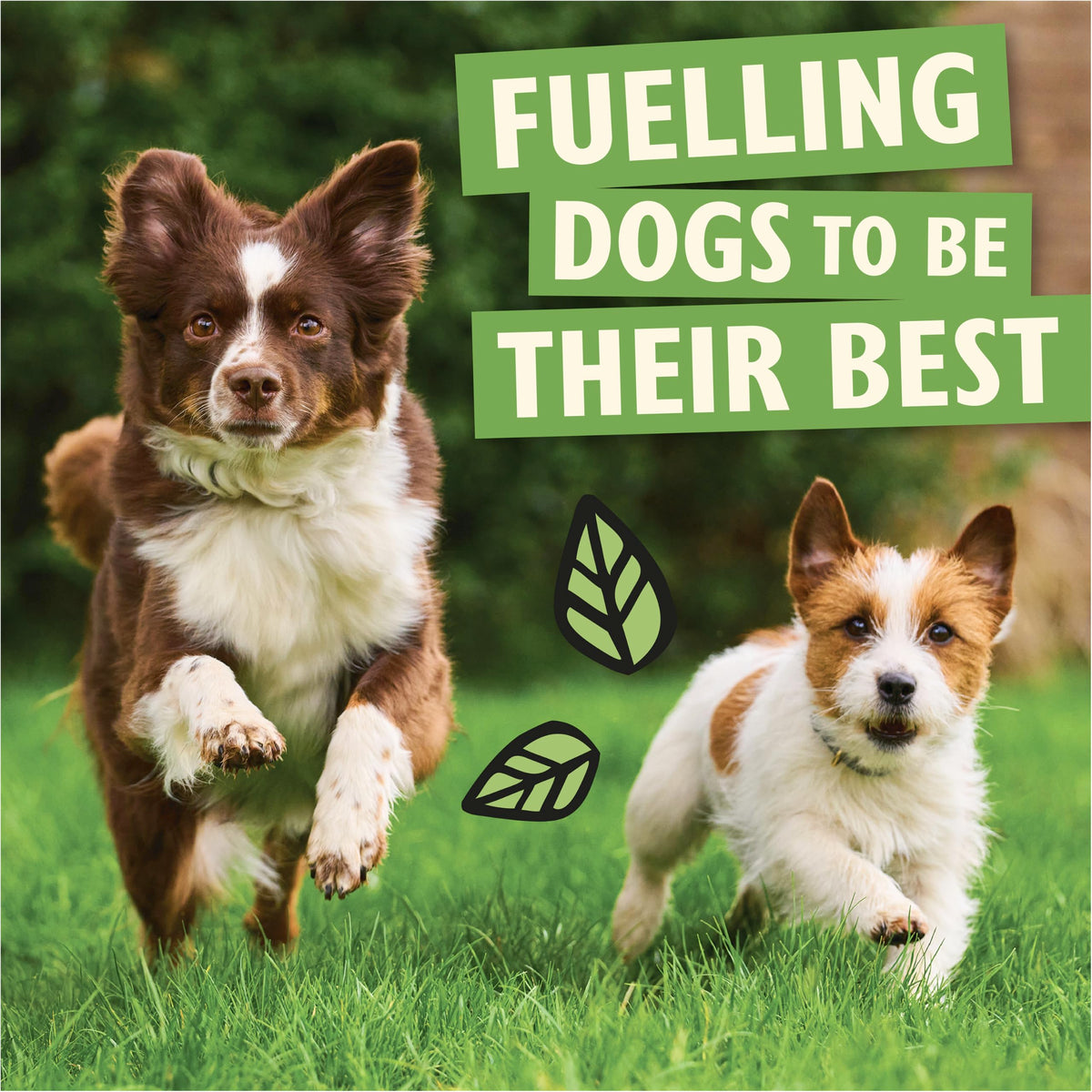 Lily's Kitchen Made with Natural Ingredients Adult Dry Dog Food Chicken & Duck Grain-Free Recipe 2.5kg Bag