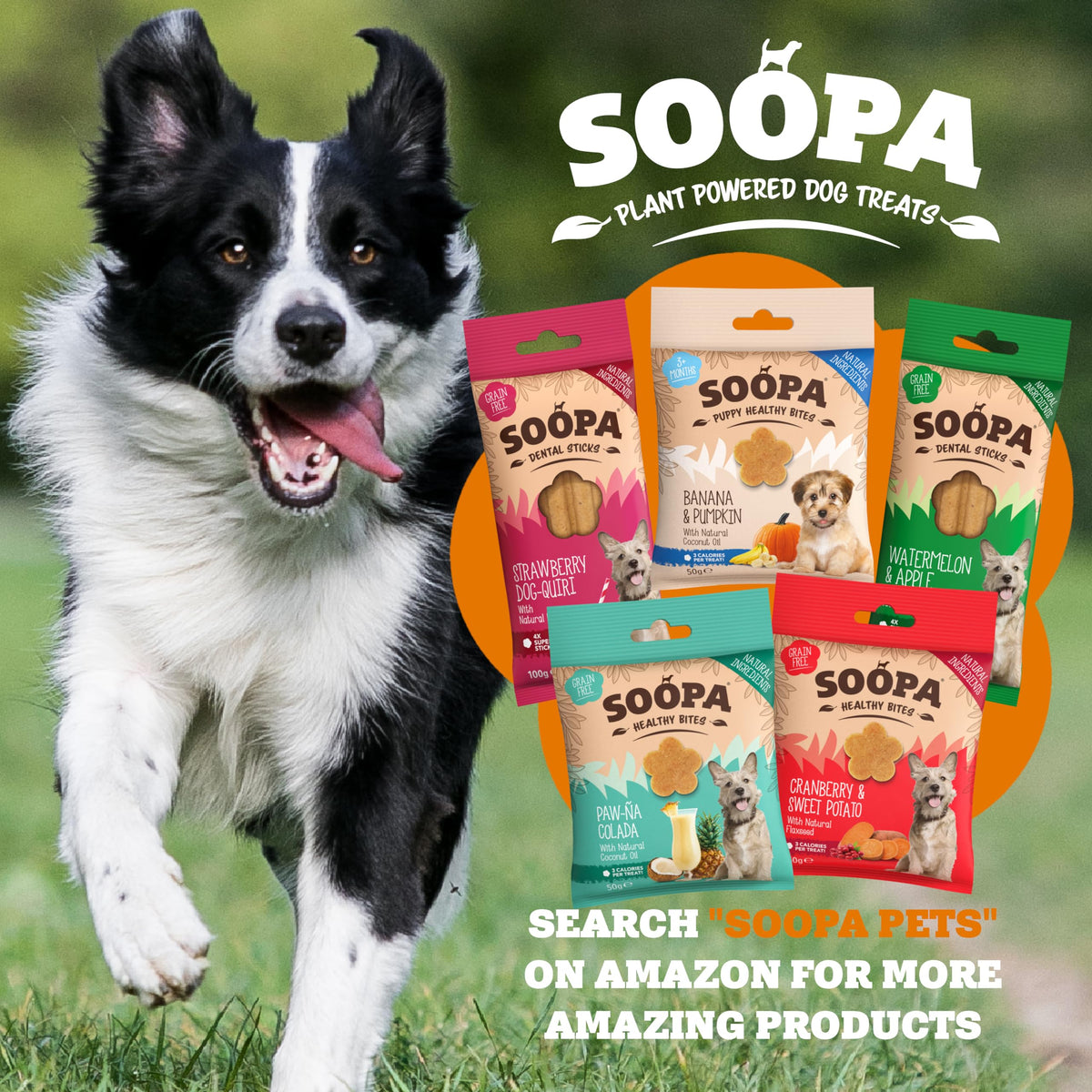 Soopa Carrot & Pumpkin Dog Dental Sticks, Chews to Clean Teeth, 100 g, 1-Pk