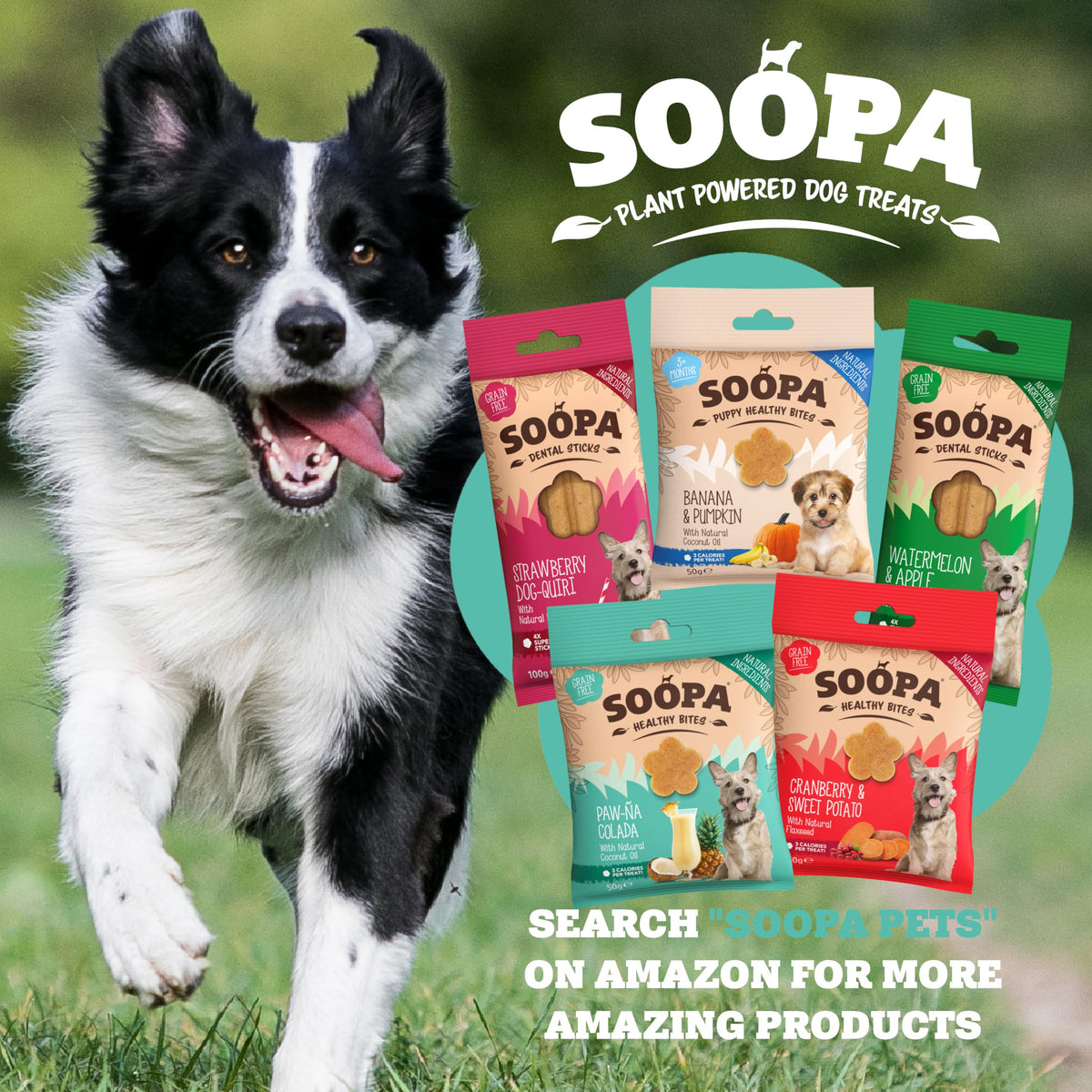 Soopa Carrot & Pumpkin Dog Dental Sticks, Chews to Clean Teeth, 100 g, 1-Pk