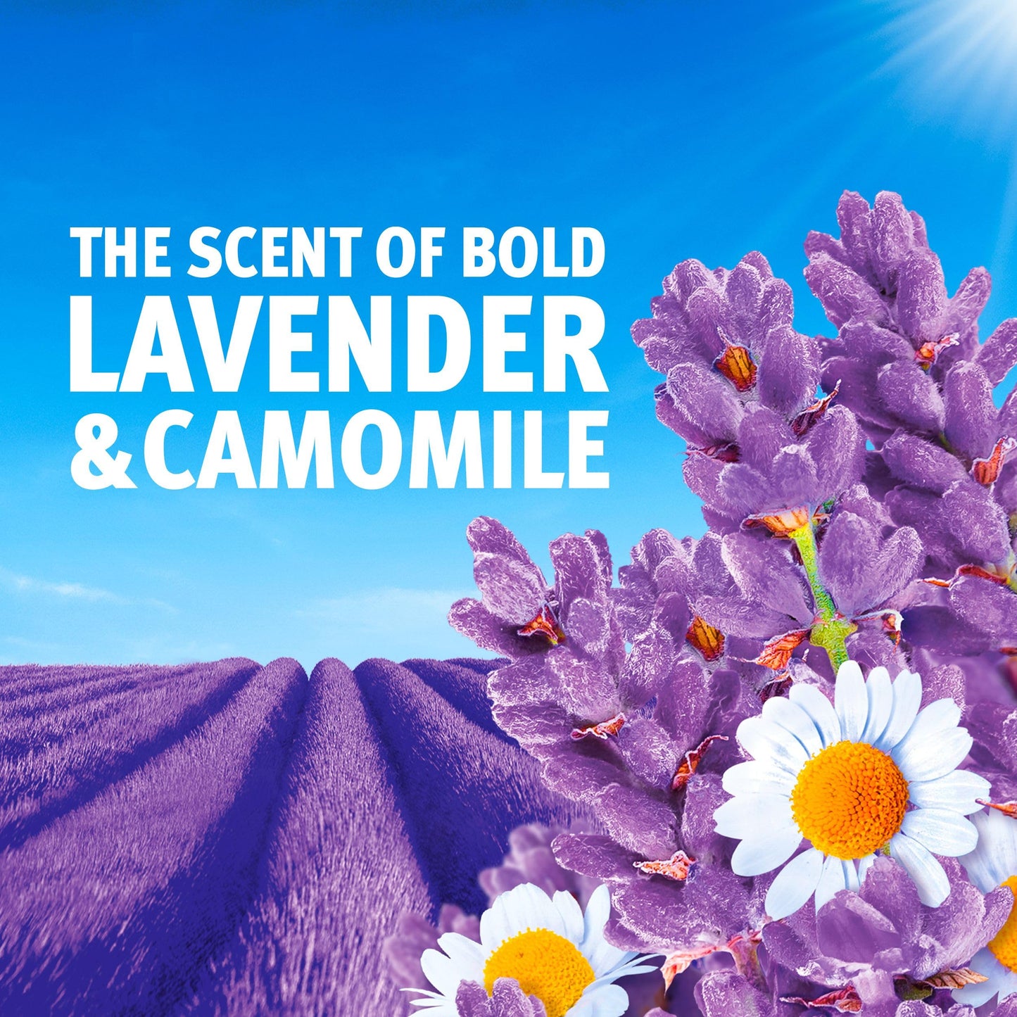 Bold Lavender and Camomile PODS® Washing Liquid Laundry Detergent Capsules 85 Washes, 85ct, Outdoor Freshness that Lasts and Lasts, with Built-in Lenor Softener