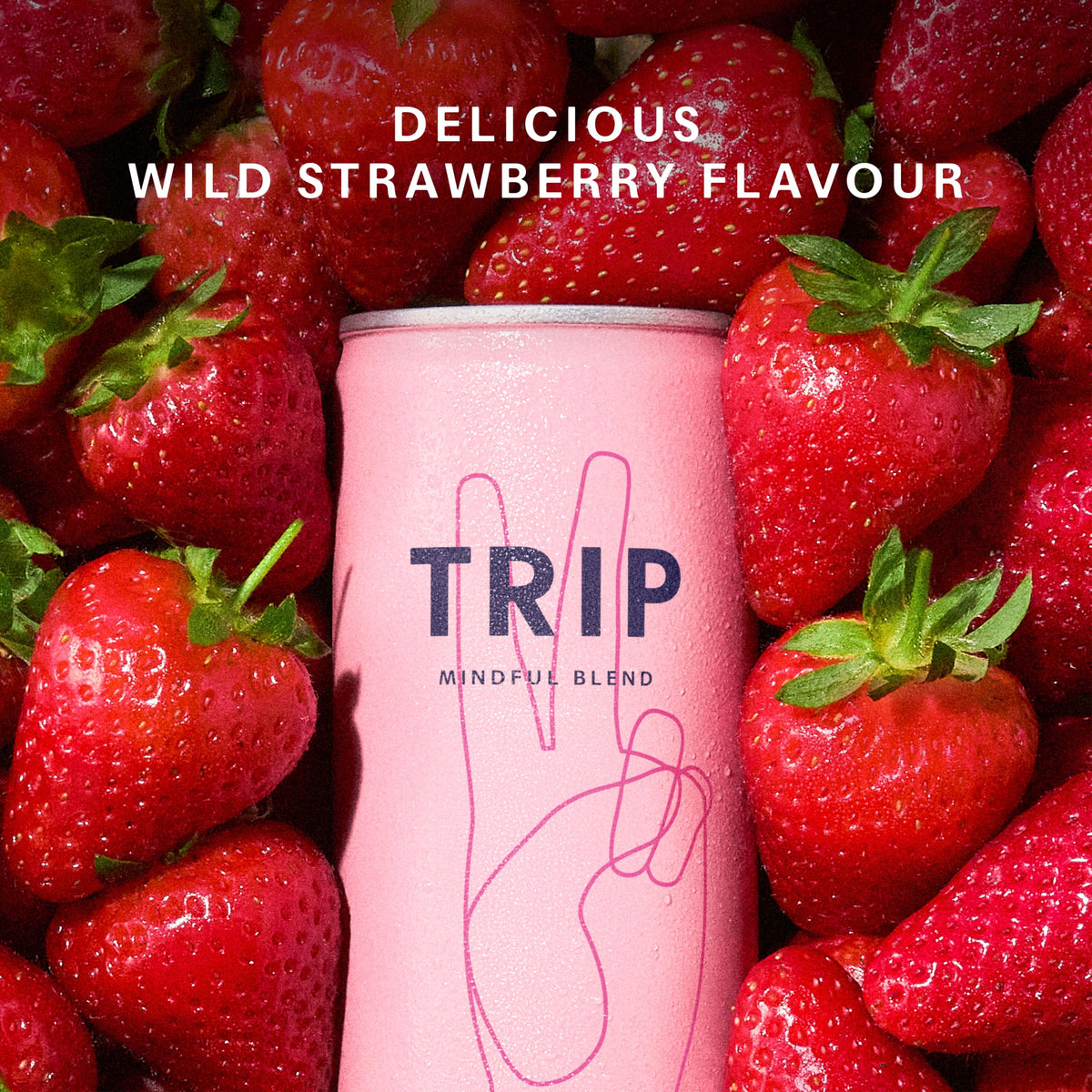 TRIP Cucumber Mint Sparkling drink with 120MG calming Magnesium + Lion’s Mane + Chamomile + Lemon Balm. Low Calorie and Vegan (Pack of 12 x 250ml) - Packaging Might Vary
