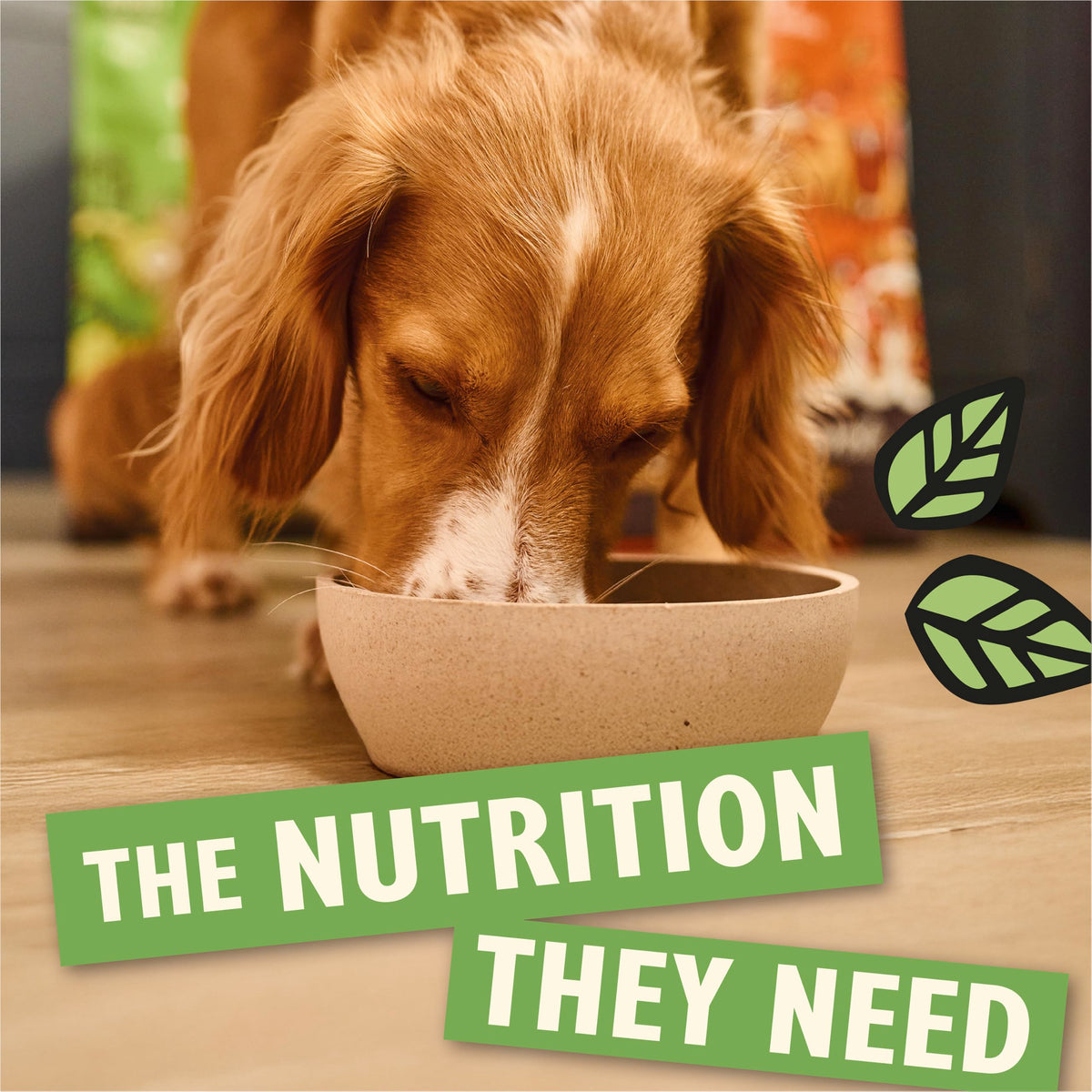 Lily's Kitchen Made with Natural Ingredients Adult Dry Dog Food Chicken & Duck Grain-Free Recipe 2.5kg Bag