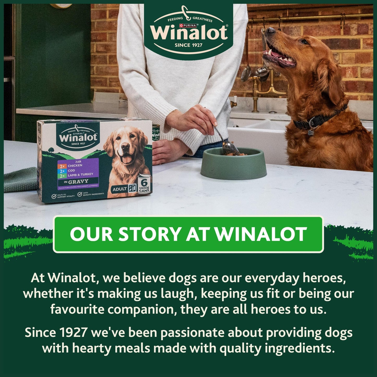 WINALOT Sunday Dinner Mixed in Gravy Wet Dog Food Pouches 40x100g