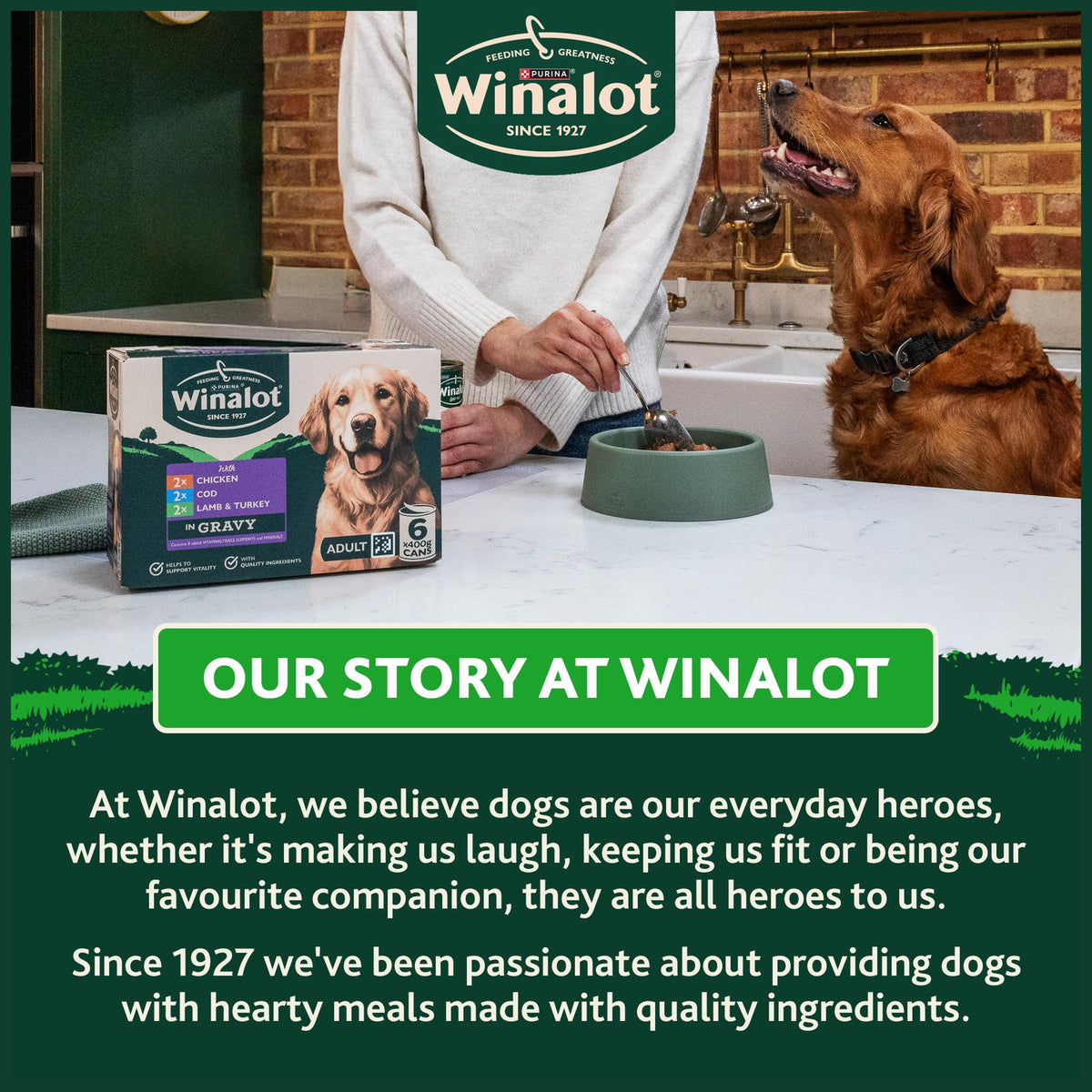 WINALOT Sunday Dinner Mixed in Gravy Wet Dog Food Pouches 40x100g