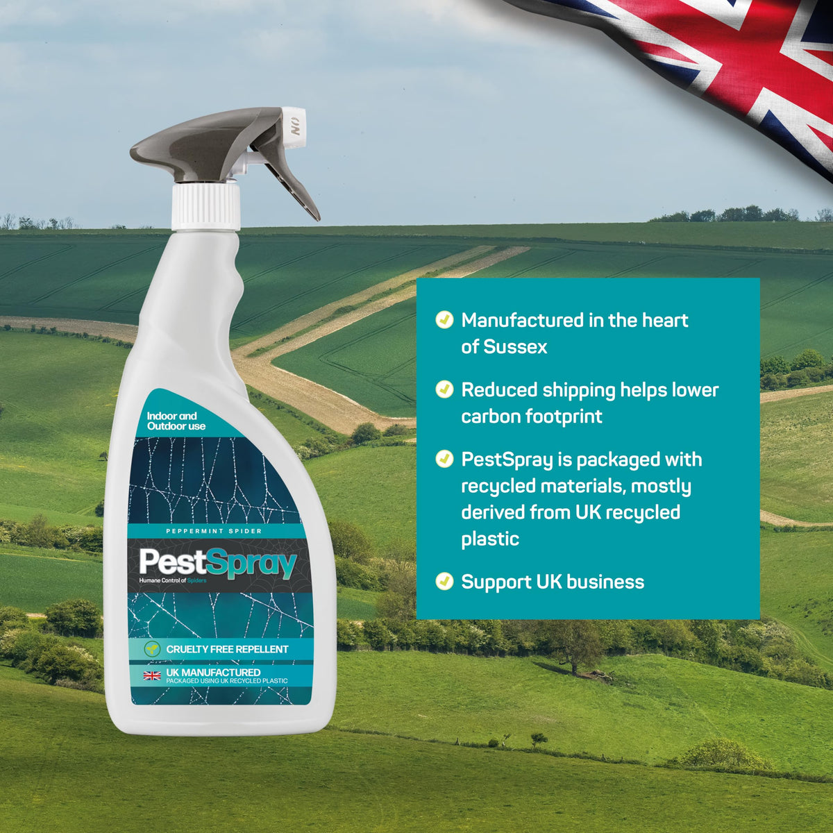 Peppermint Spider PestSpray, Peppermint Oil Spray, Spider Repellent, 250ml Bottle, Suitable Indoor & Outdoor Use