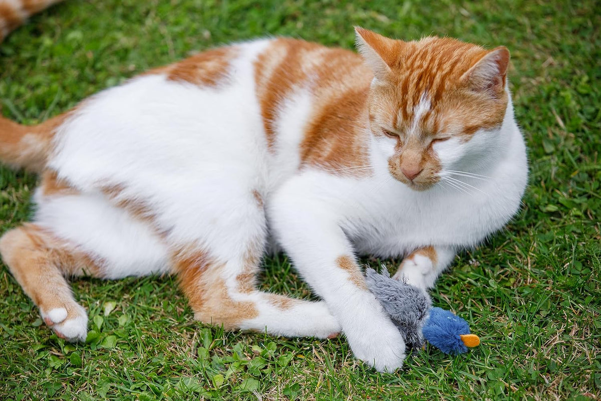 Petface Catkins Dudley Duck Plush Cat Toy, Filled with Catnip (Pack of 1)