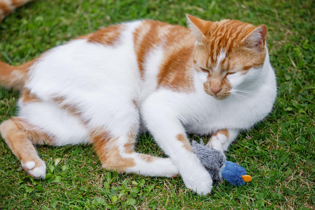 Petface Catkins Dudley Duck Plush Cat Toy, Filled with Catnip (Pack of 1)