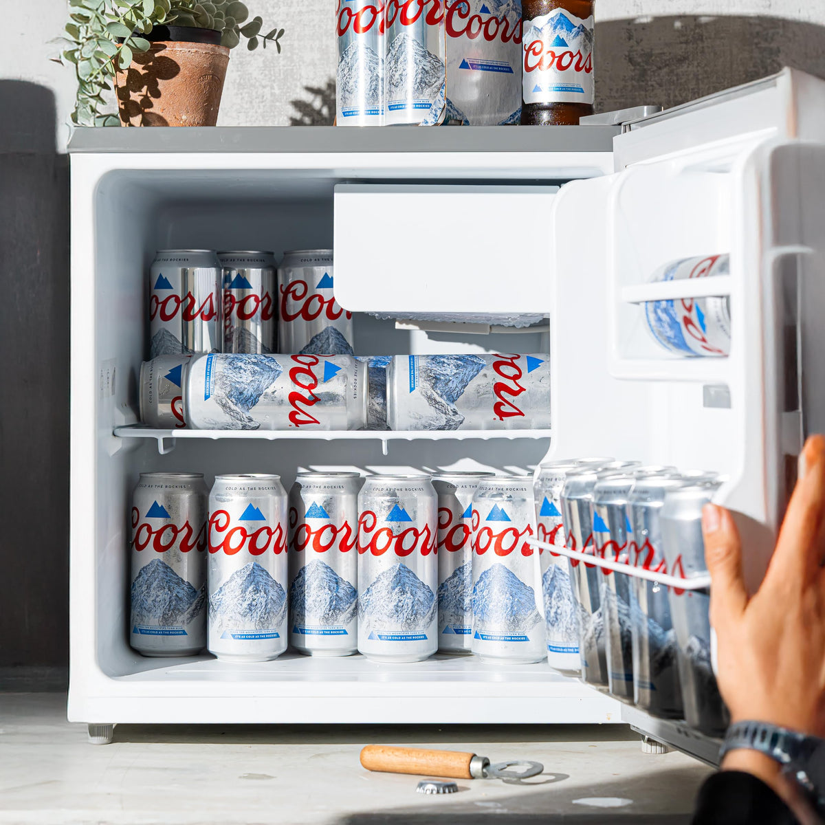 Coors Lager Beer 24 x 500 ml (cans)