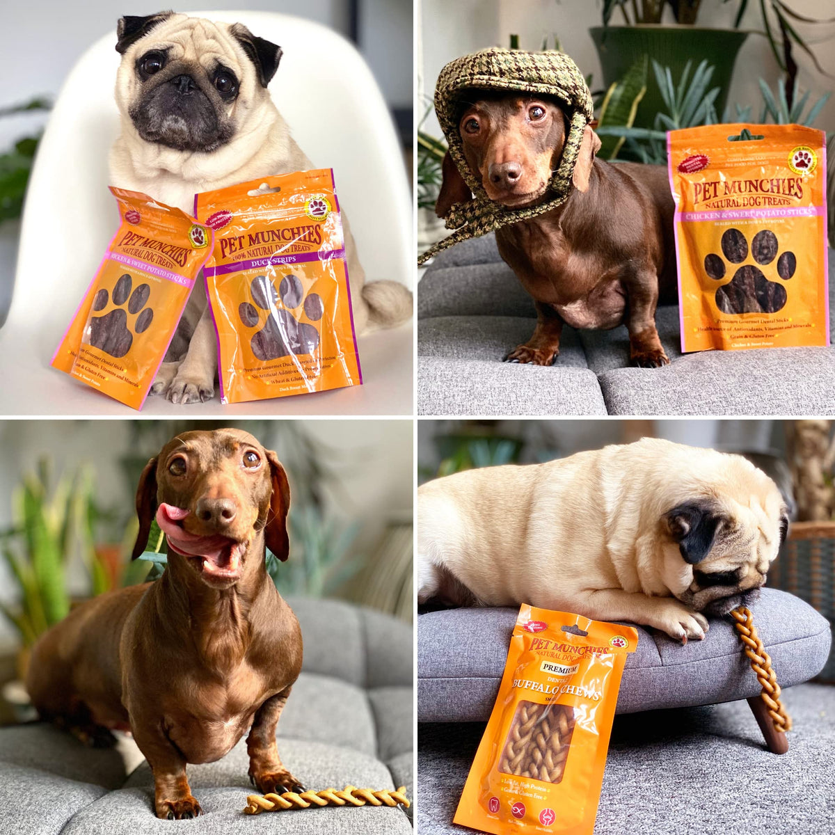 Pet Munchies Venison Strips Dog Treats, Premium Wheat Free Dog Chews with Natural Real Meat, Low in Fat and High in Protein 75g (Pack of 8)