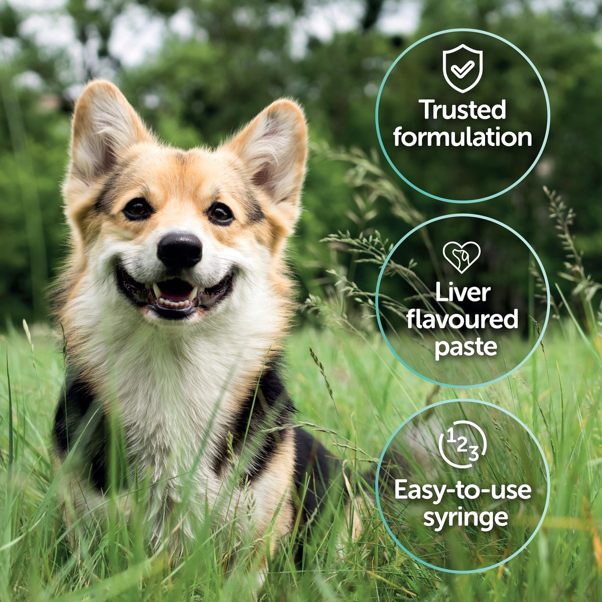 Protexin Veterinary Pro-Kolin Advanced Paste for Dogs, 30ml Syringe