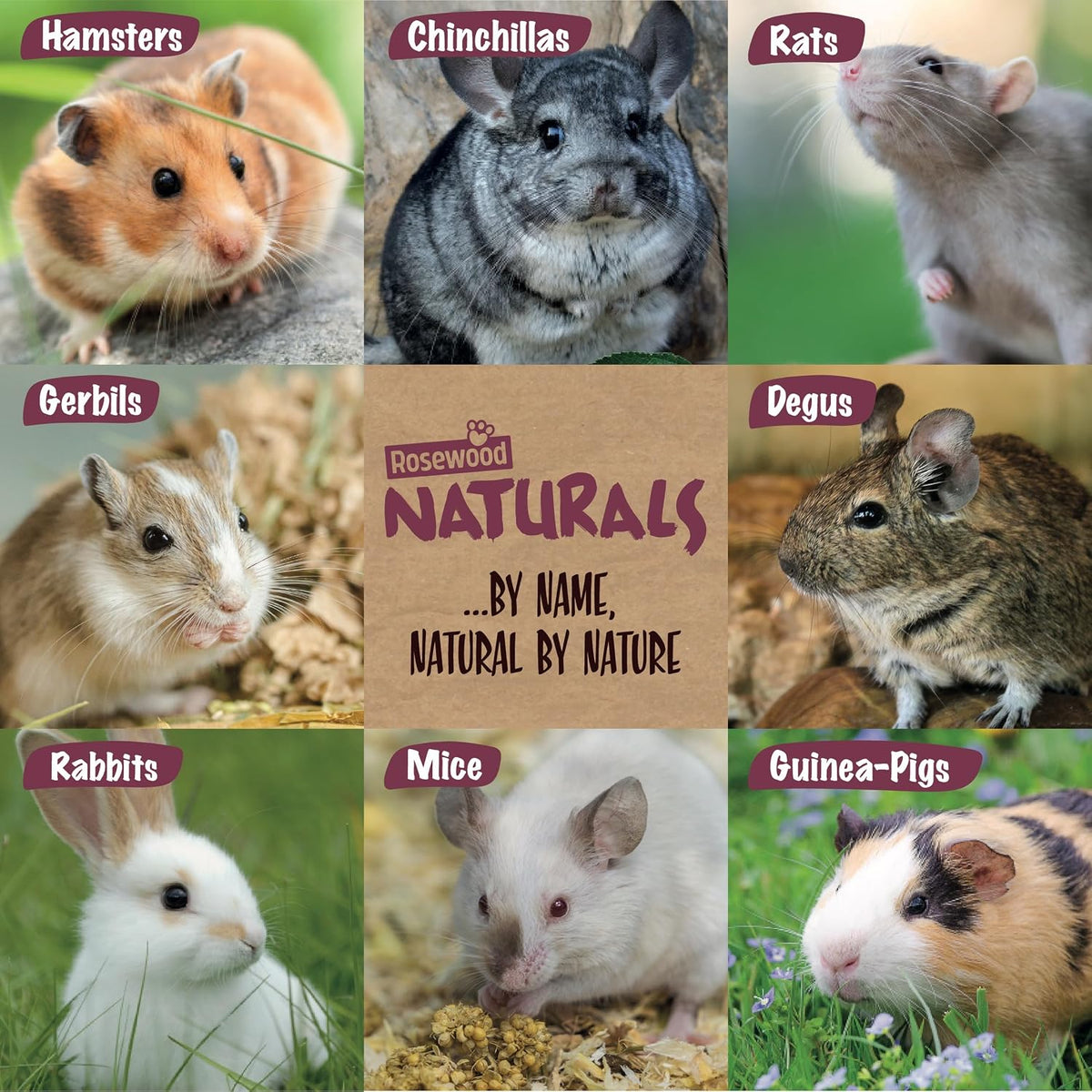 Rosewood Naturals I Love Hay Forage Cube, Small Animal Treat and Gnaw Toy for Rabbits, Guinea Pigs, Chinchillas, Degus, Hamsters, Gerbils, Mice and Rats - Medium (Pack of 2)