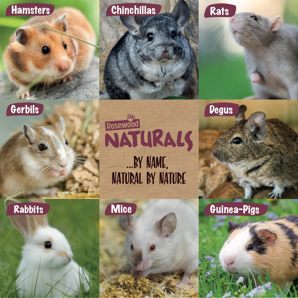 Rosewood Naturals I Love Hay Forage Cube, Small Animal Treat and Gnaw Toy for Rabbits, Guinea Pigs, Chinchillas, Degus, Hamsters, Gerbils, Mice and Rats - Medium (Pack of 2)