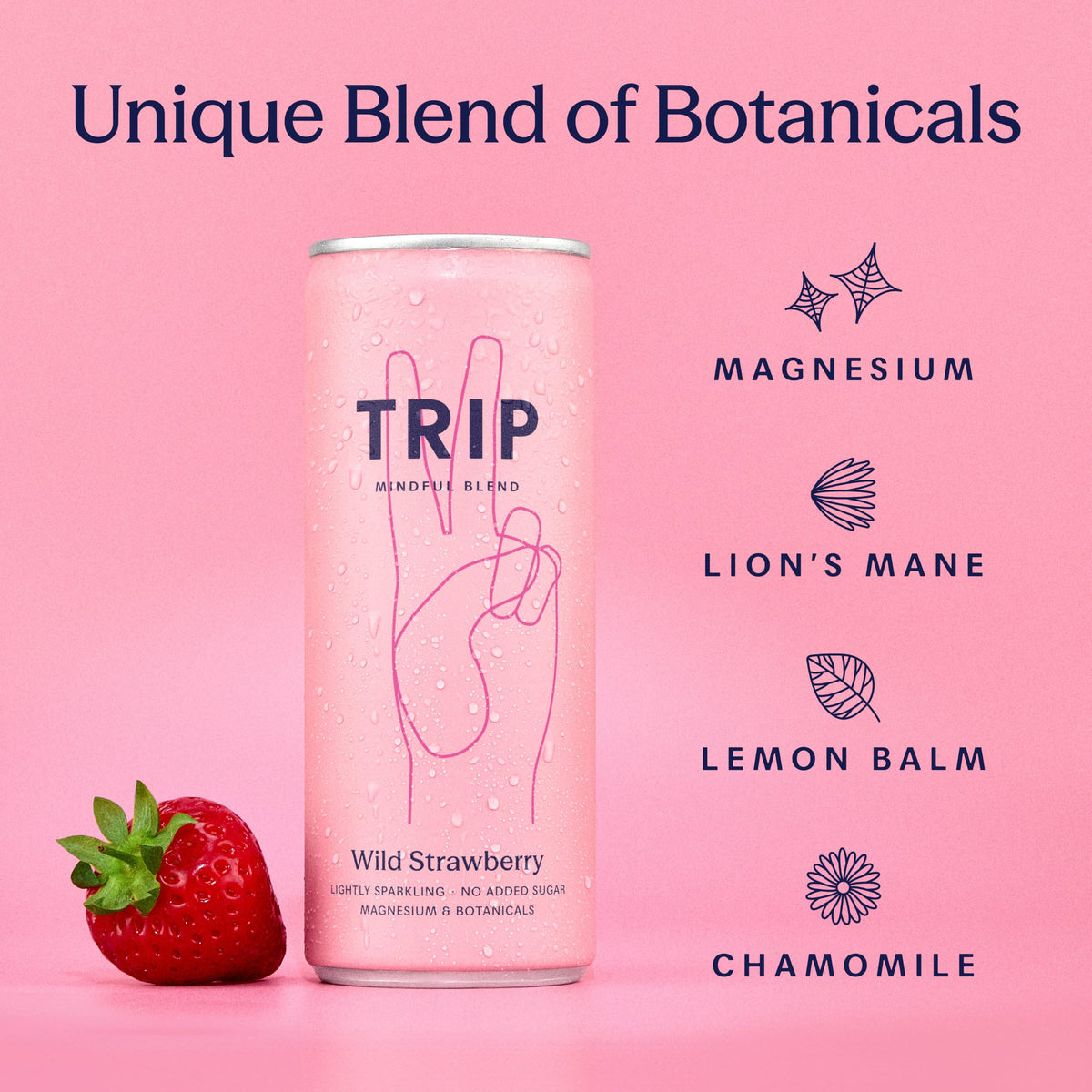 TRIP Cucumber Mint Sparkling drink with 120MG calming Magnesium + Lion’s Mane + Chamomile + Lemon Balm. Low Calorie and Vegan (Pack of 12 x 250ml) - Packaging Might Vary