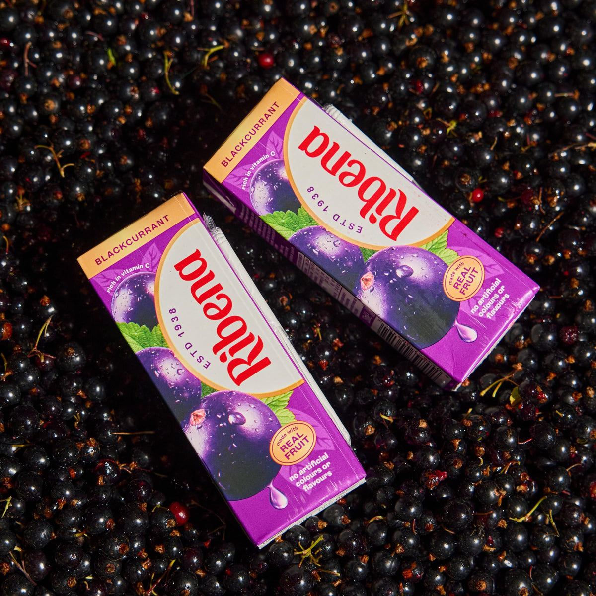 Ribena Blackcurrant Juice Drink Cartons - Multipack 6x250ml; Real Fruit; Rich In Vitamin C; No Artificial Colours or flavours ; Perfect For On The Go