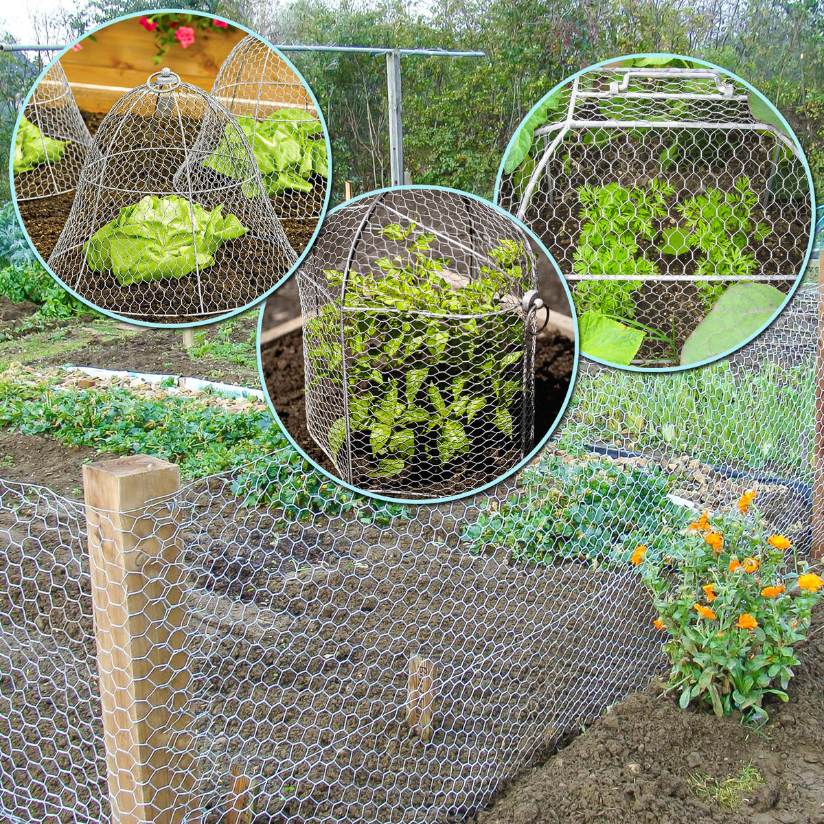 Chicken Wire,16M Wire Mesh Roll,Chicken Wire Mesh for Pet Rabbit Chicken Fencing