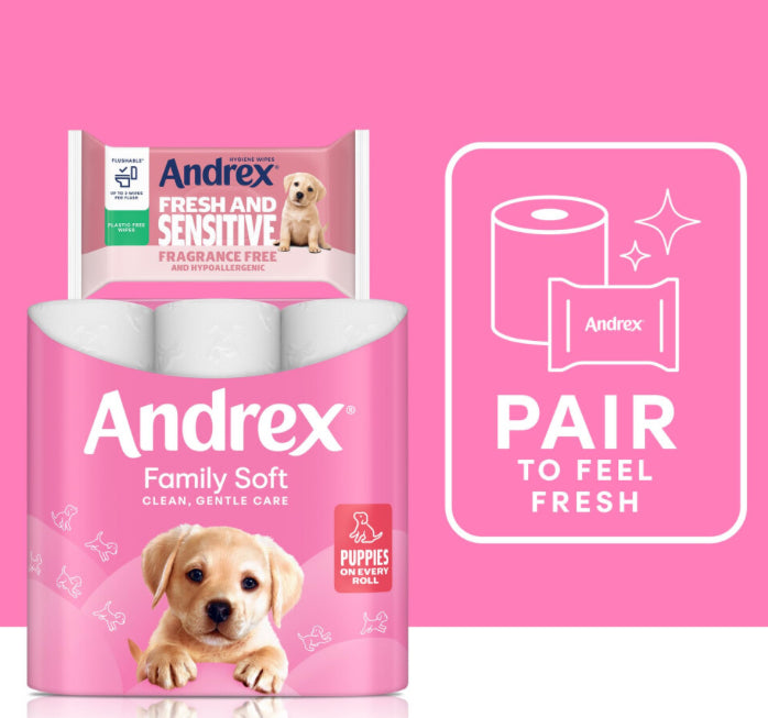 Andrex Fresh and Sensitive Hygiene Wipes, 12 Pack; Flushable Moist Toilet Tissue, Hypoallergenic and Fragrance Free Wet Wipes for Sensitive Skin (Pack