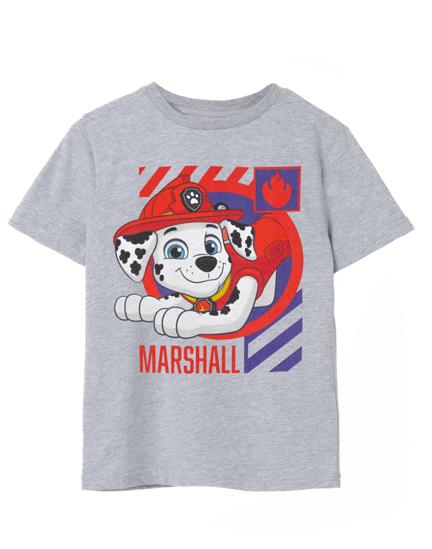 Paw Patrol Short Sleeved T-Shirt | Boys Grey Marl | Official Merch