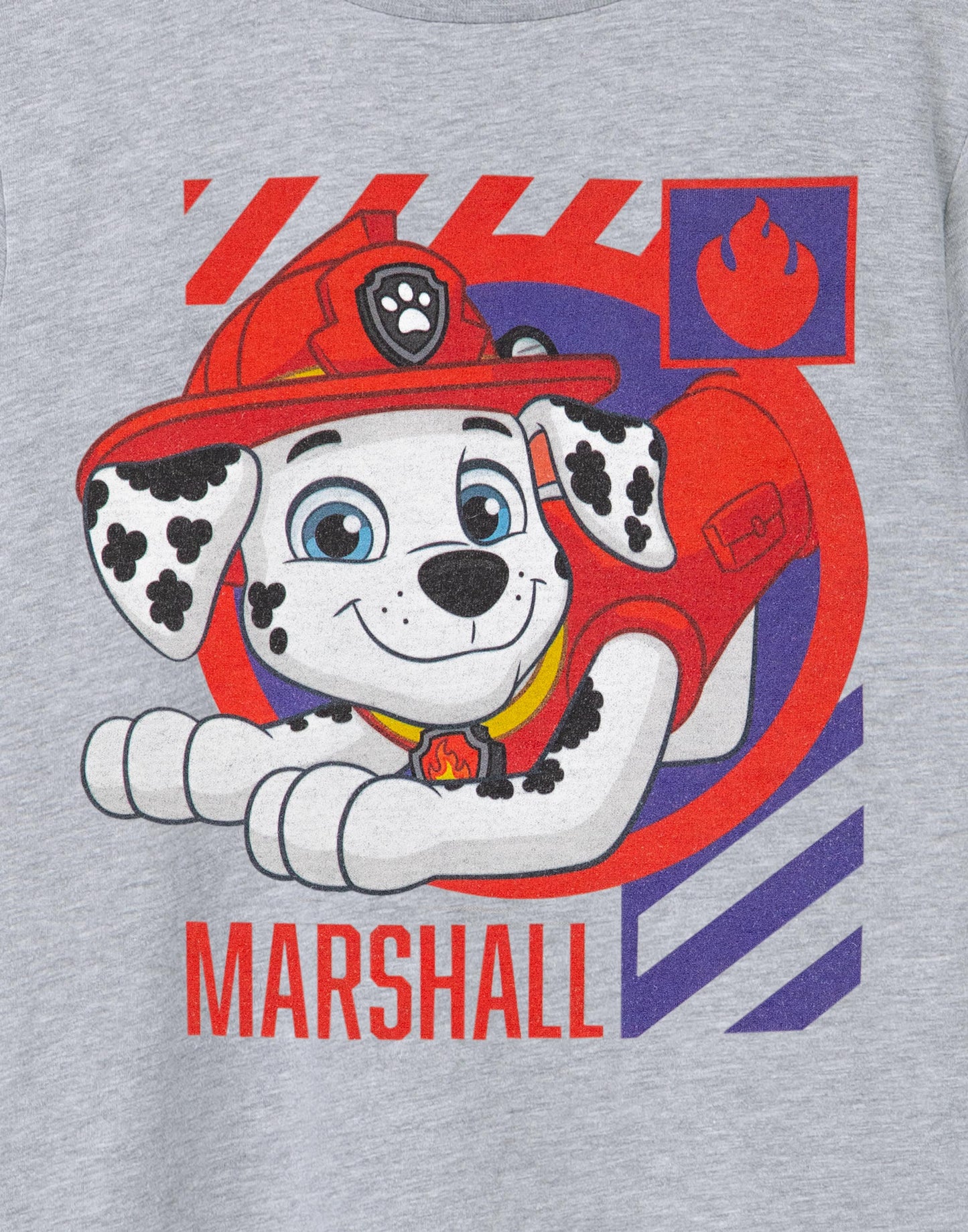 Paw Patrol Short Sleeved T-Shirt | Boys Grey Marl | Official Merch