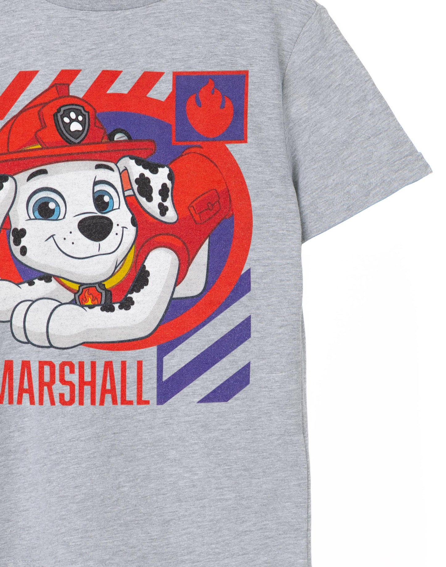 Paw Patrol Short Sleeved T-Shirt | Boys Grey Marl | Official Merch