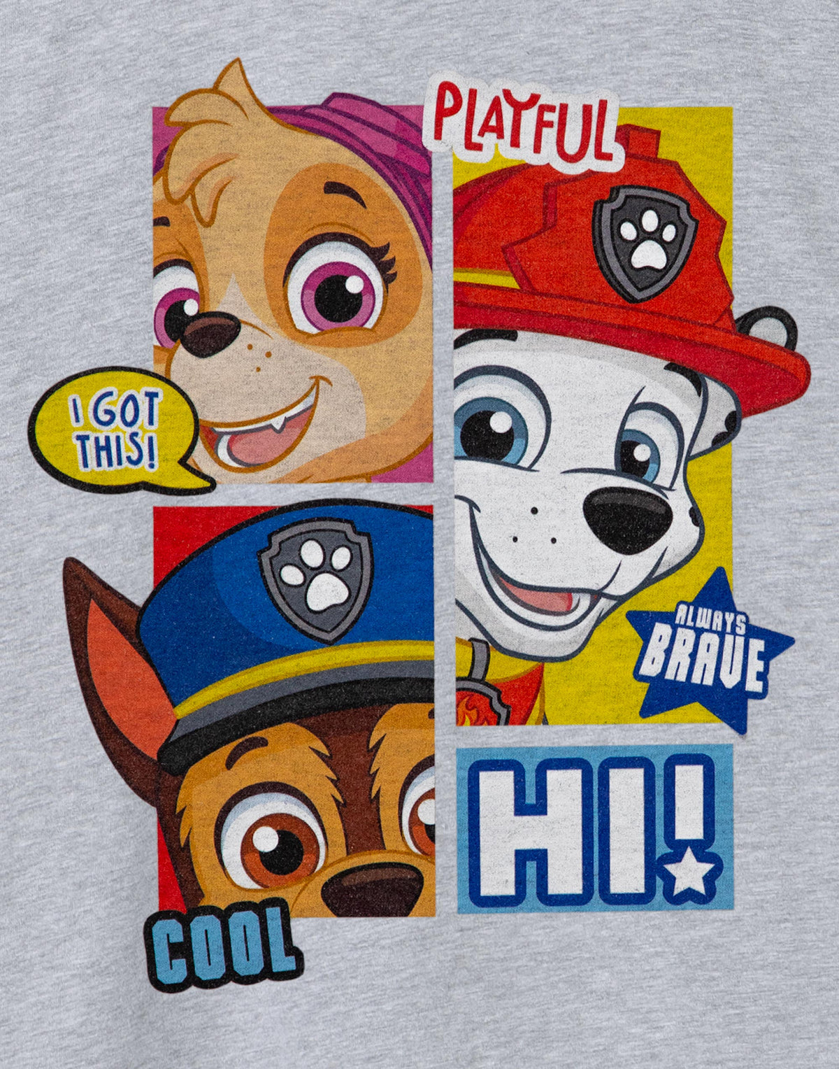 Paw Patrol Short Sleeved T-Shirt | Boys Grey Marl | Official Merch