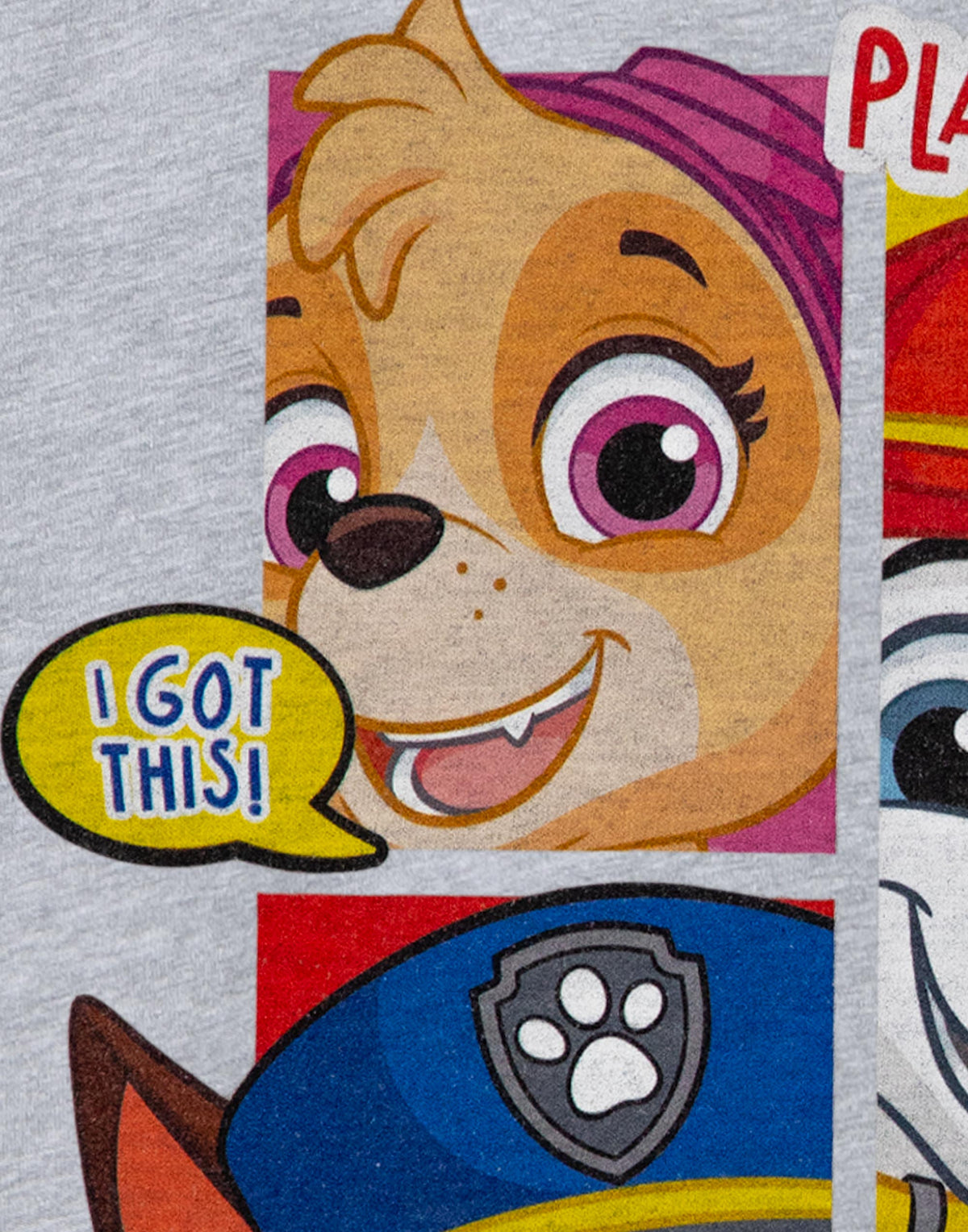 Paw Patrol Short Sleeved T-Shirt | Boys Grey Marl | Official Merch