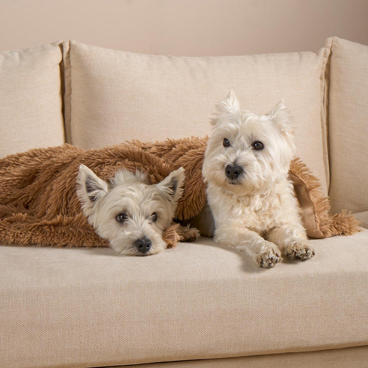 OHS Pet Fleece Throw Fluffy Calming Foldable Travel Dog Puppy Cat Blanket