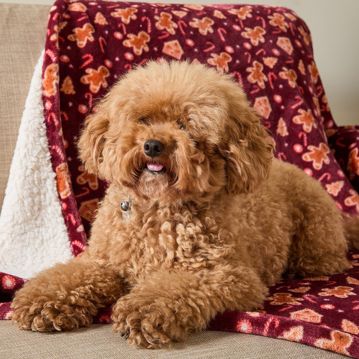 OHS Printed Pet Blanket Reversible Sherpa Fleece Dog Cats Thermal Calming Throw