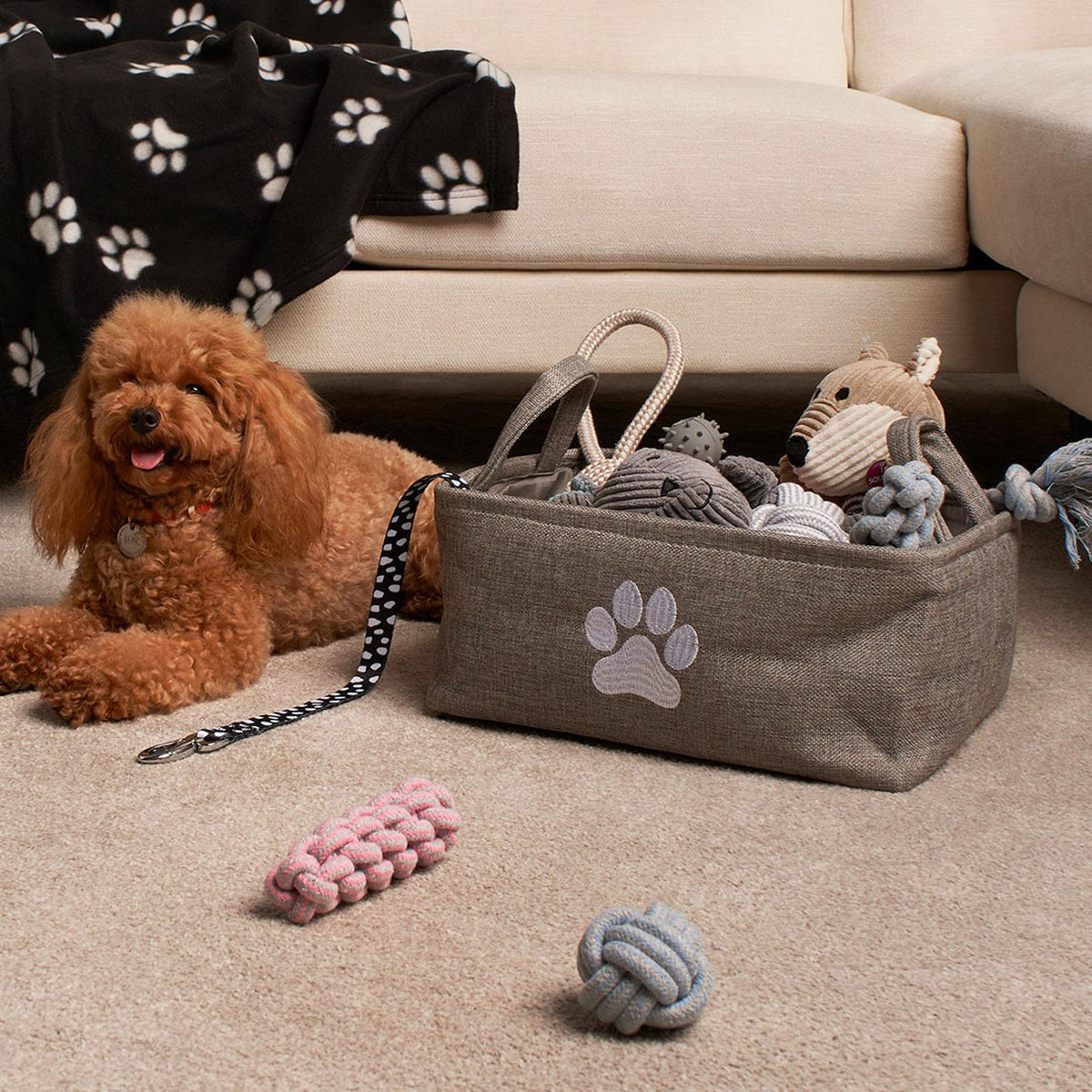 Pet Storage Basket Dog Toy Box Bin Handles Collapsible New Puppy Essentials Gift
