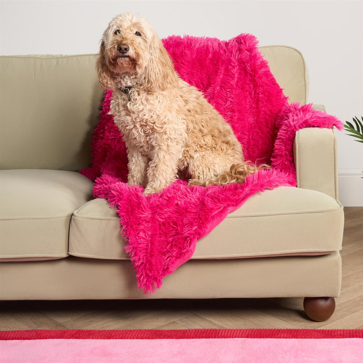 OHS Pet Fleece Throw Fluffy Calming Foldable Travel Dog Puppy Cat Blanket