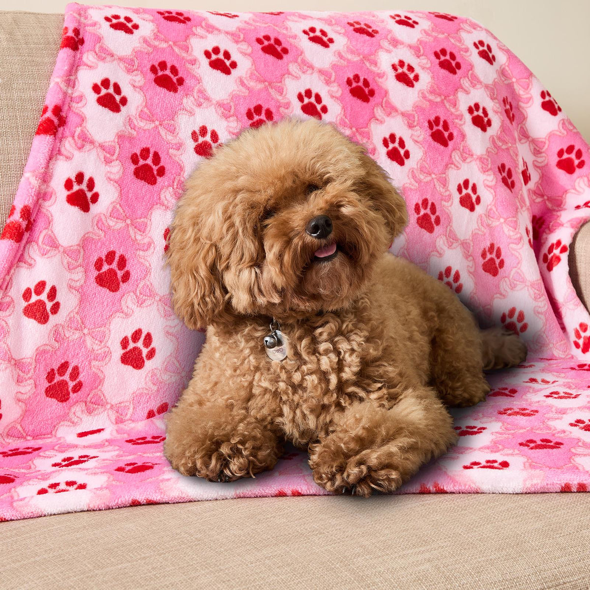 OHS Printed Pet Blanket Reversible Sherpa Fleece Dog Cats Thermal Calming Throw