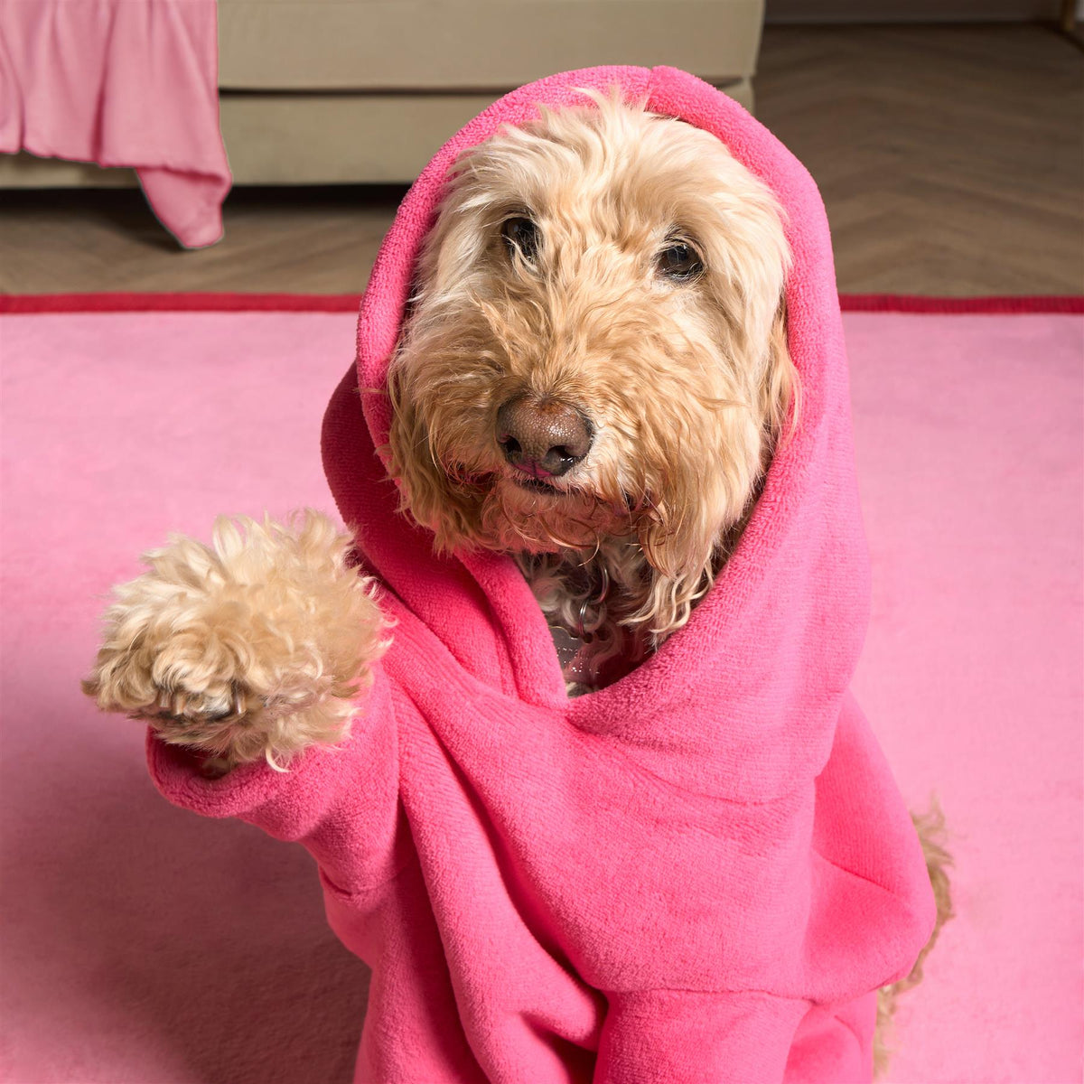OHS Pet Dog Sherpa Hoodie Winter Warm Fleece Puppy Outfit Suit Soft Cat Jumper