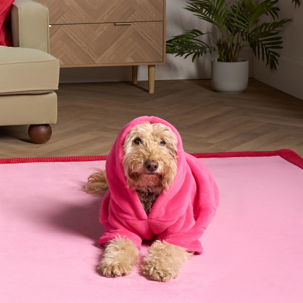 OHS Pet Dog Sherpa Hoodie Winter Warm Fleece Puppy Outfit Suit Soft Cat Jumper