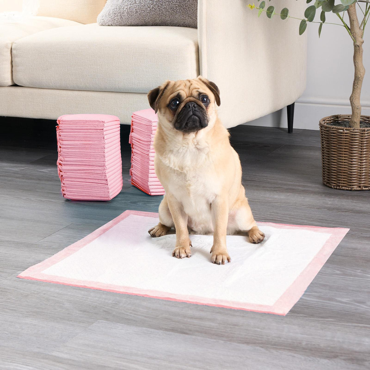 100 Training Pads Absorbent Large Pet Puppy Wee Pee Dog Kitten Poo Floor Mats
