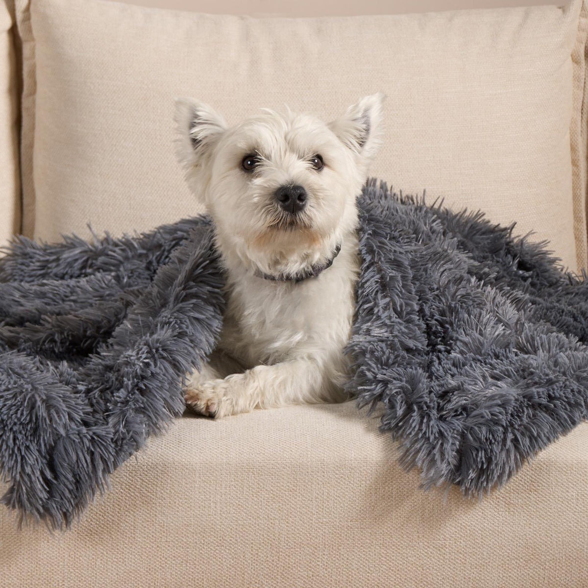 OHS Pet Fleece Throw Fluffy Calming Foldable Travel Dog Puppy Cat Blanket
