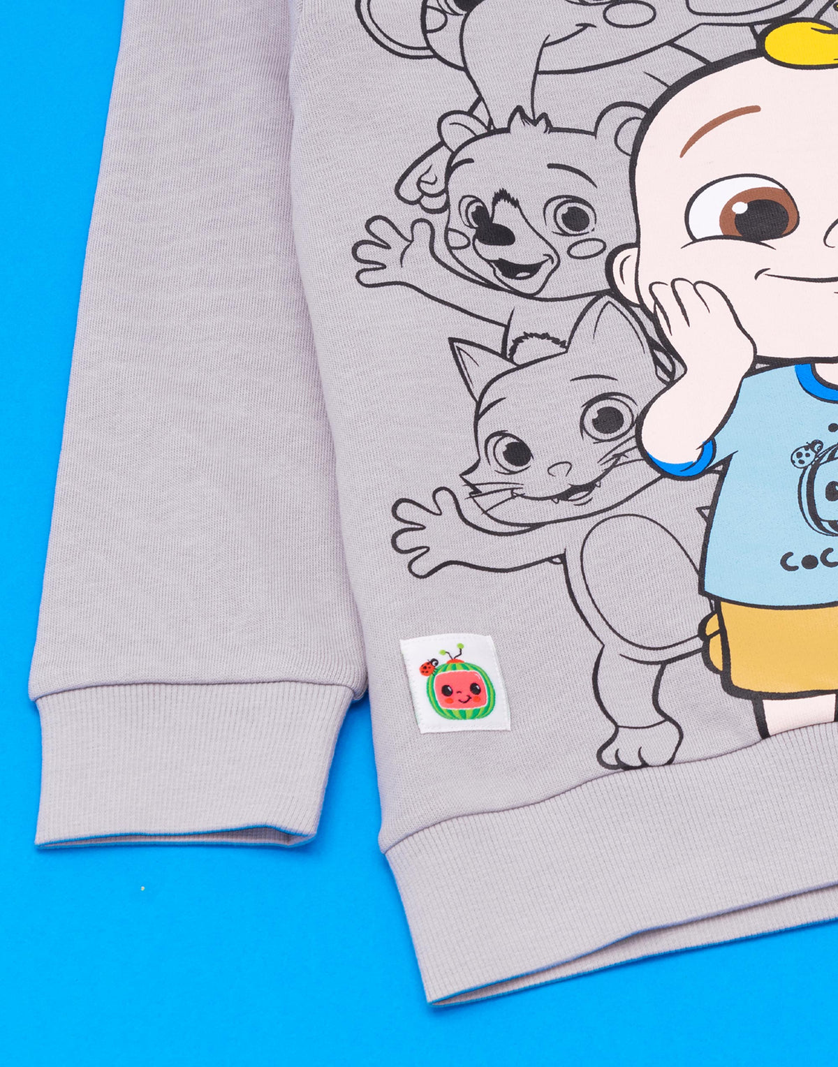 Cocomelon Sweatshirt | Unisex Kids Grey | Official Merch