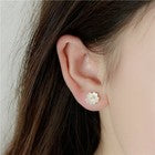 Womens Girls Beautiful Flower Stud Earrings 925 Sterling Silver Jewellery Gift