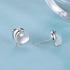 925 Sterling Silver Heart Moonstone Dolphin Stud Earrings Women Jewellery Gift