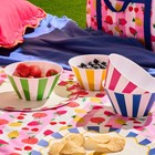 OHS Printed Picnicware Wine Cooler OR Picnic Blanket OR Bag Plates Bowls Glasses