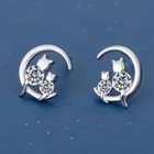 Womens Girls Crystal Moon Cats Stud Earrings 925 Sterling Silver Jewellery Gift